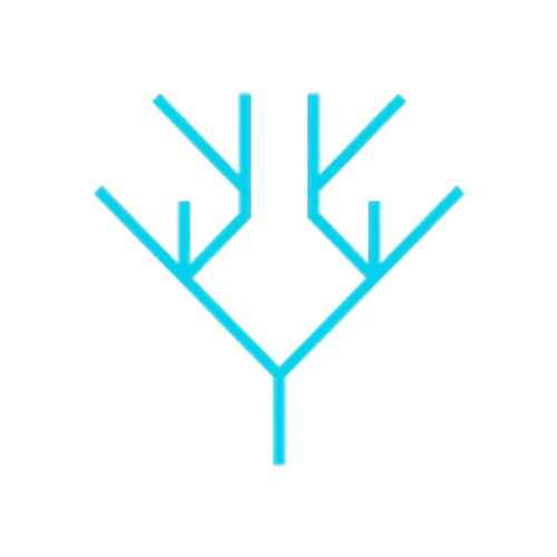 Branching tree icon representing deterministic decision paths